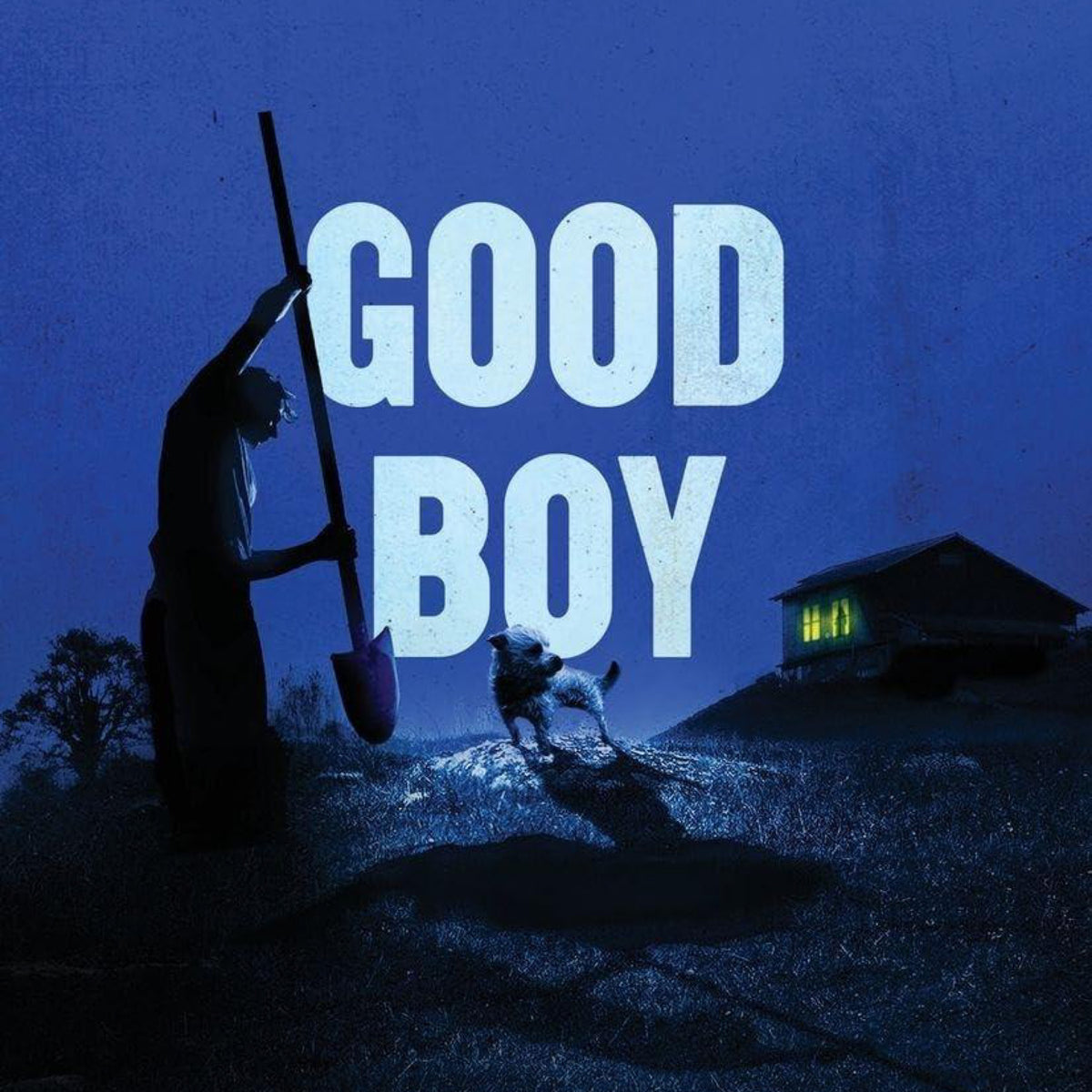 Good Boy (The Northern Weird Project)