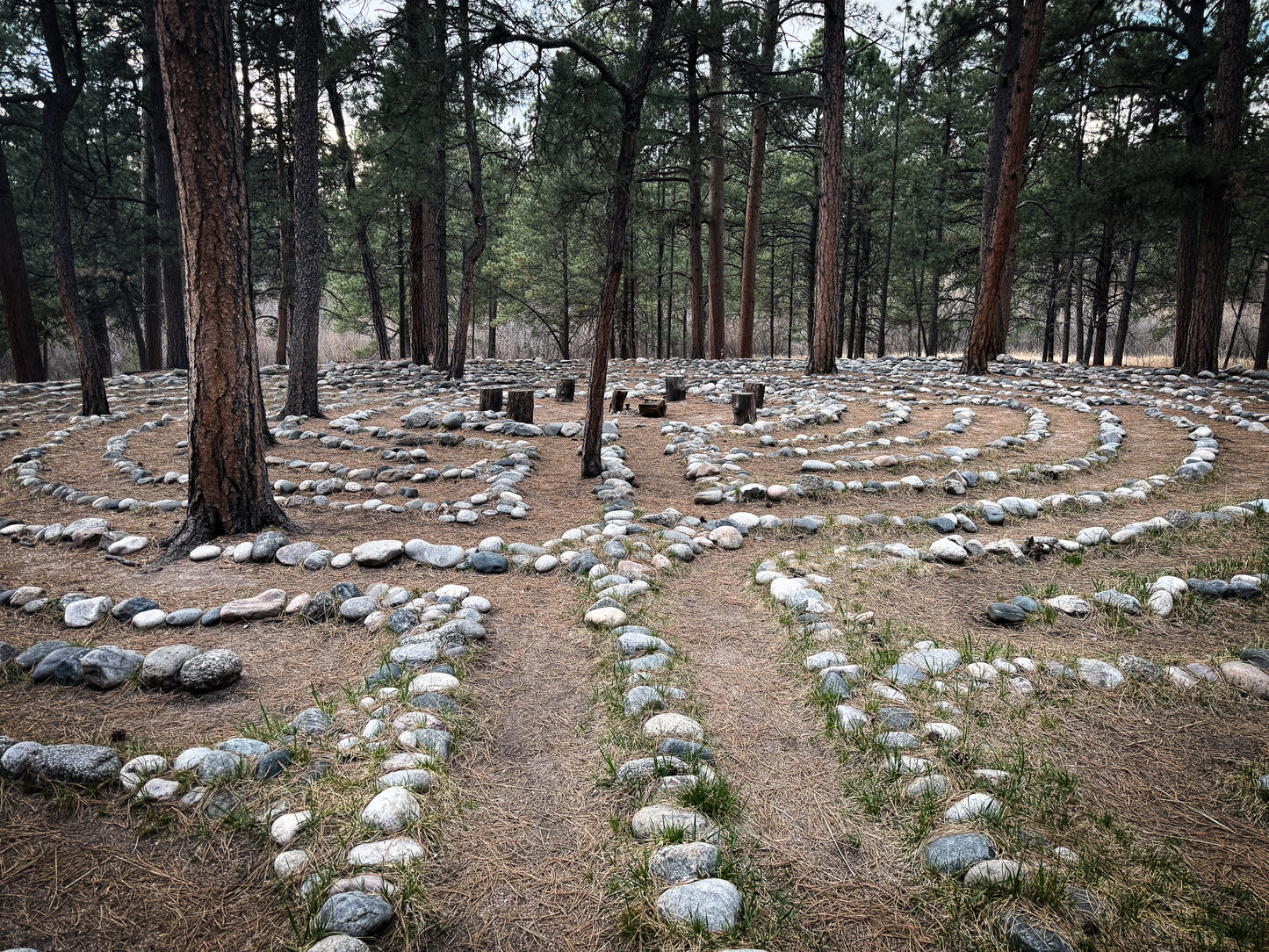 Rock labyrinth in a forest setting at Creepaway Camp, La Foret Conference and Retreat Center, Black Forest, Colorado.